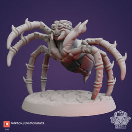 Zoontails - DHZ1010 - Giant Spider - 45mm - Resin - As shown With Base