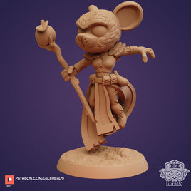 Zoontails - DHZ1021 -  Mousefolk Druid - 40mm - Resin - As shown With Base