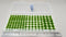 JHT - Spring Green Model Grass Clusters - Self Adhesive Grass Tufts - 5mm height x 8/10/12mm round base