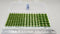JHT - Summer Green Model Grass Clusters - Self Adhesive Grass Tufts - 5mm height x 8/10/12mm round base