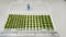 JHT - Autumn Green Model Grass Clusters - Self Adhesive Grass Tufts - 5mm height x 8/10/12mm round base