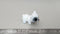 Printboy - Polar Bear - 3 Color - 64mm x 36mm x 19mm