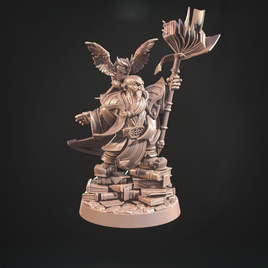 CastnPlay #825 Dwarf Runesage, Diogen - No Base