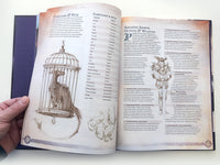 Remarkable Shops & Their Wares (Softcover)