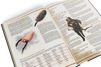 Ultimate NPCs: Skulduggery Hardcover (5E)