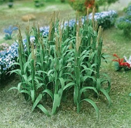MP Scenery Products 75101 - N Scale - Corn Stalks 1/2" Height 32/pk