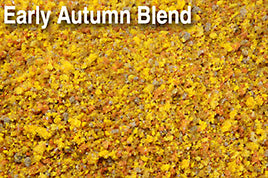 Scenics Express 870 - EARLY AUTUMN BLEND