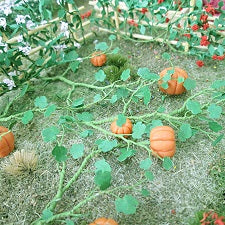 MP Scenery Products 75103 - N Scale - Pumpkins 3/4" Length, 6/pk