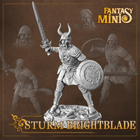 Fantasy Minis - FM20 - Sturm Brightblade 28mm
