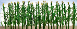 JTT Scenery Products 95552 - HO Scale - Corn Stalks 1" 30/pk