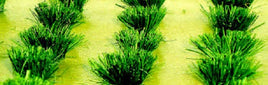 JTT Scenery Products 95580 - HO Scale - Grass Bushes 30pk