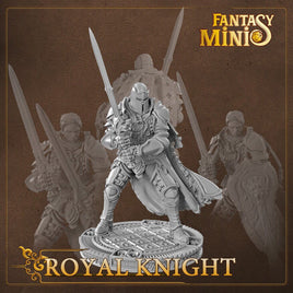 Fantasy Minis - FM04 - Royal Knight 28mm